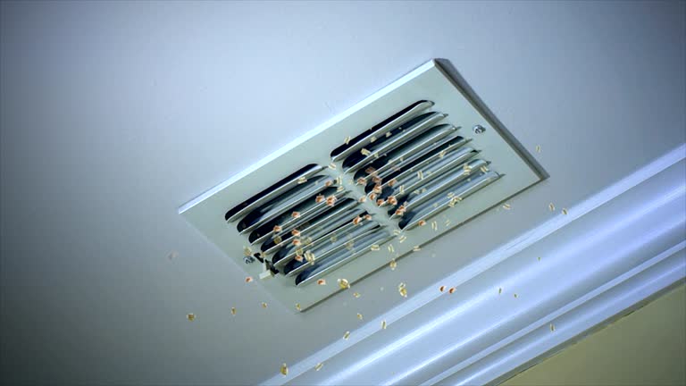 Best Emergency Air Duct Cleaning  in Gardner, IL